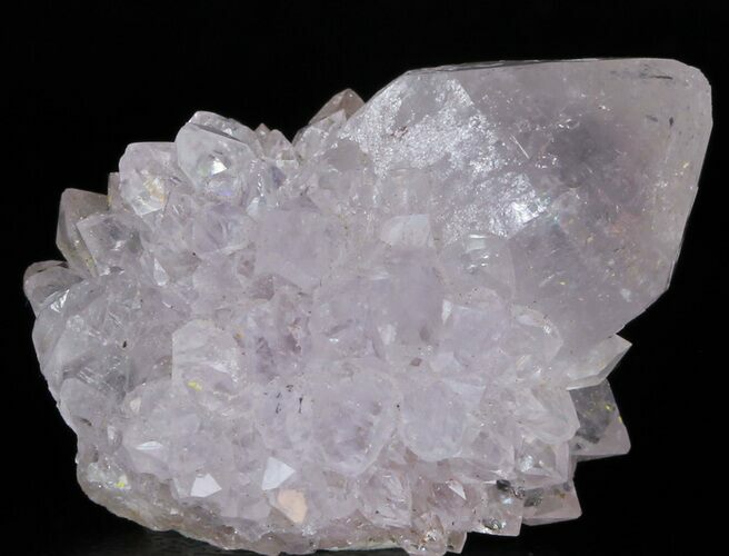 Cactus Quartz (Amethyst) Crystal - South Africa #33755